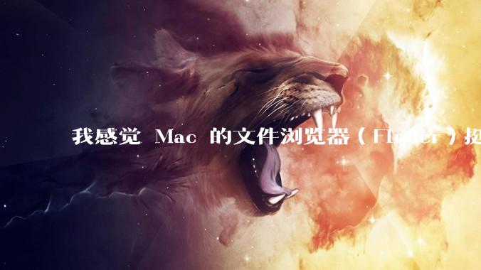 我感觉 Mac 的文件浏览器(Finder)挺好用的,Windows 上面有没有差不多的软件呢?