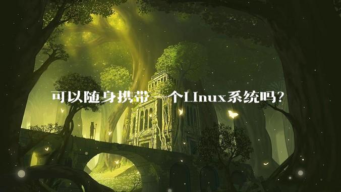 可以随身携带一个Linux系统吗?