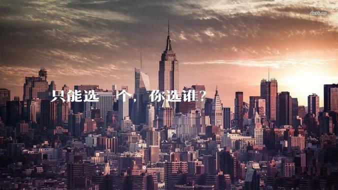 只能选一个,你选谁?