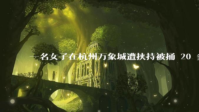 一名女子在杭州万象城遭挟持被捅 20 多刀,隆胸***体救了一命,这反映出哪些公安系统的问题?