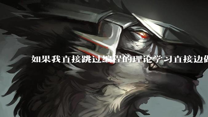 如果我直接跳过编程的理论学习直接边做一些小项目边学可以学会编程这个技能吗?能够用来工作吗?