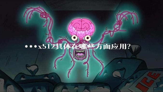 ***x512具体在哪些方面应用?