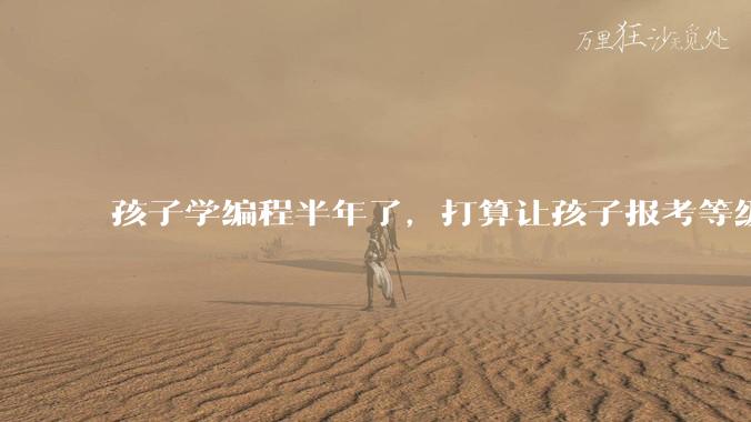 孩子学编程半年了,打算让孩子报考等级考试,大家觉得等级考试证书有用吗?