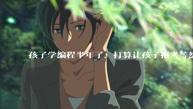 孩子学编程半年了,打算让孩子报考等级考试,大家觉得等级考试证书有用吗?