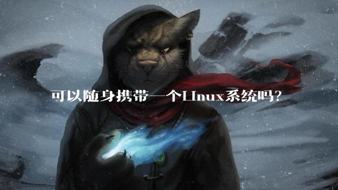 可以随身携带一个Linux系统吗?