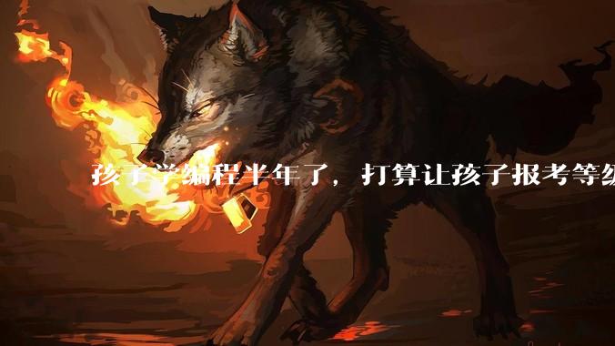 孩子学编程半年了,打算让孩子报考等级考试,大家觉得等级考试证书有用吗?