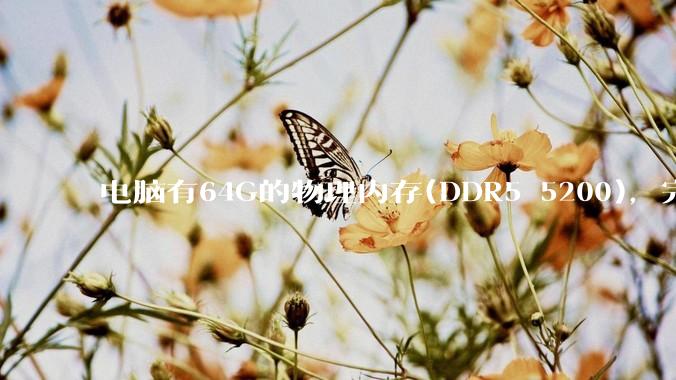 电脑有64G的物理内存(DDR5 5200)，完全够用了，可以关闭系统的虚拟内存吗？