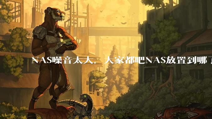 NAS噪音太大,大家都吧NAS放置到哪了?