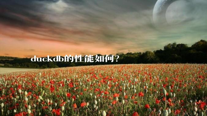 duckdb的性能如何?