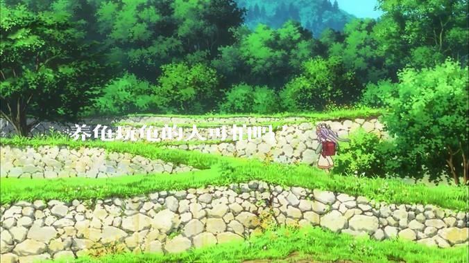 养龟玩龟的人可怕吗？