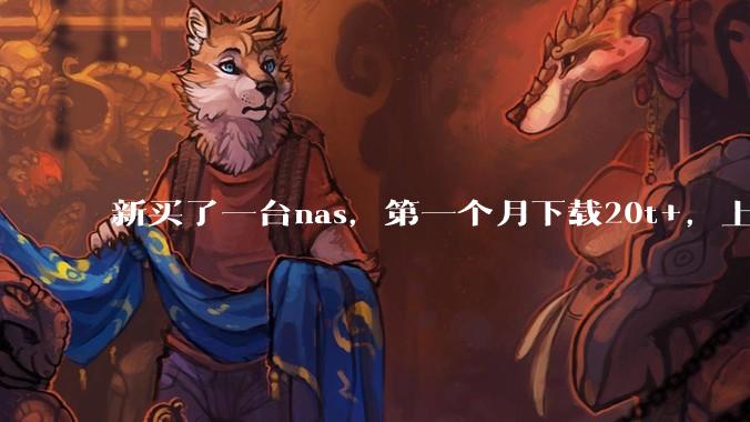 新买了一台nas,第一个月下载20t+,上传5+,不会被网警盯上吧?