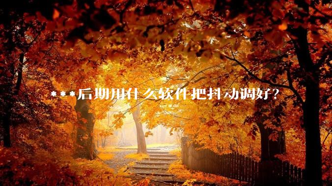 ***后期用什么软件把抖动调好?