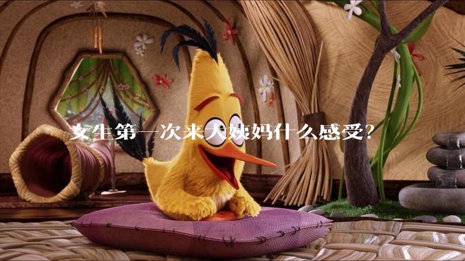 女生第一次来大姨妈什么感受?