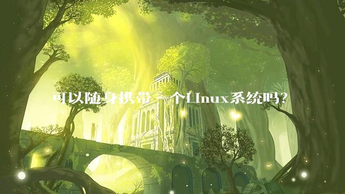 可以随身携带一个Linux系统吗?