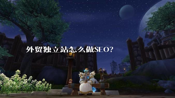 外贸独立站怎么做SEO?